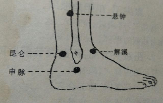 足三陽經穴